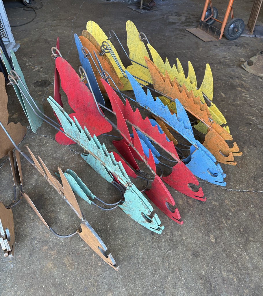 School of painted colorful fish